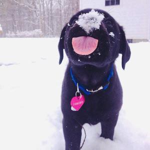 按摩自慰浓毛XXX
